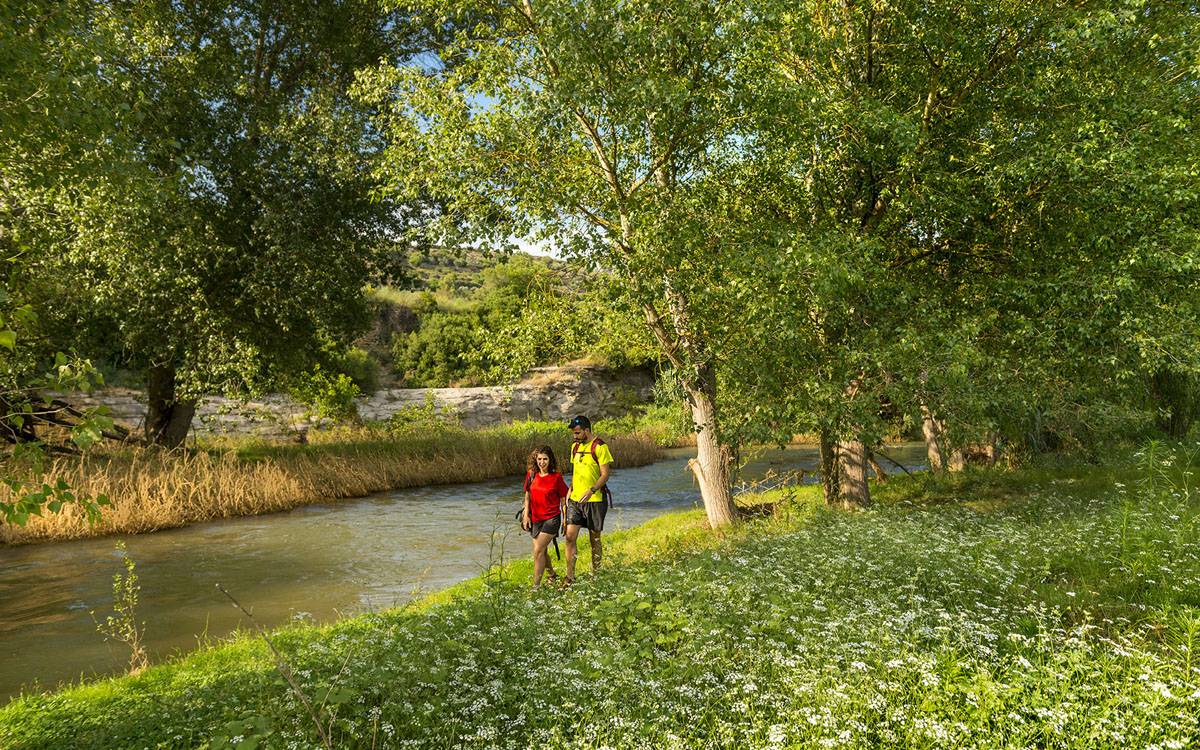 El Bages acollirà la caminada Camí Oliba per descobrir patrimoni natural, geològic i cultural