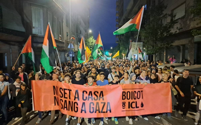La manifestació per la Flotilla de Gaza interromp el servei dels FGC a Manresa