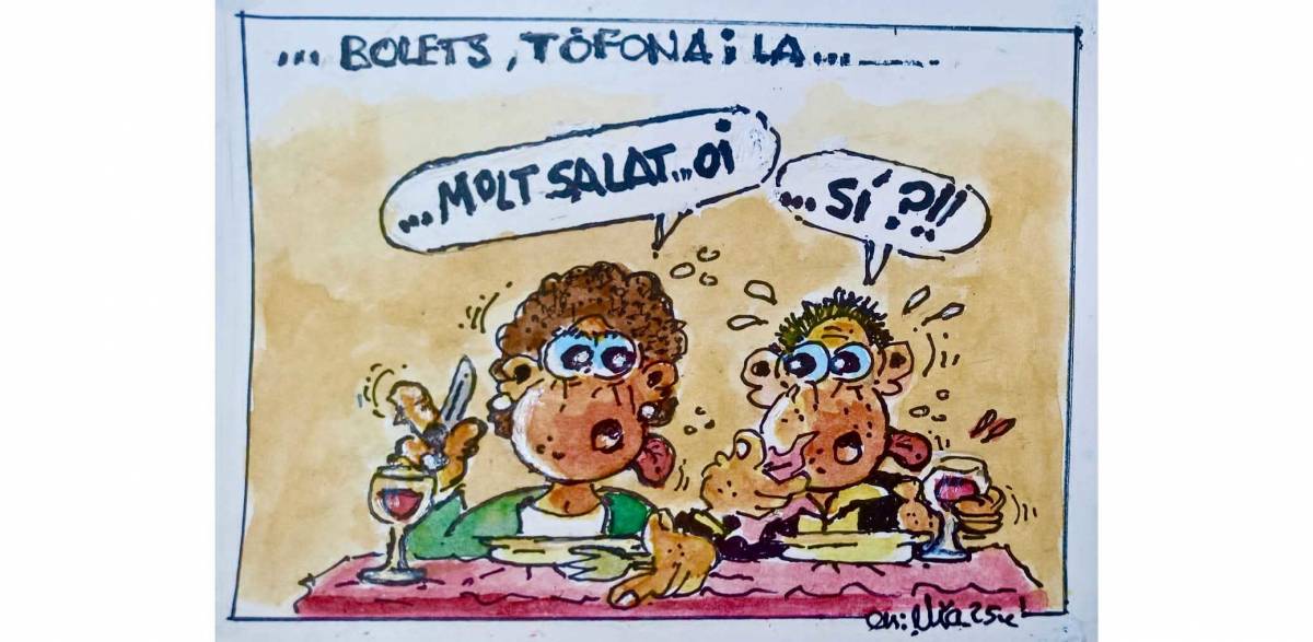 ...El Solsonès, quin gust... de comarca!!!