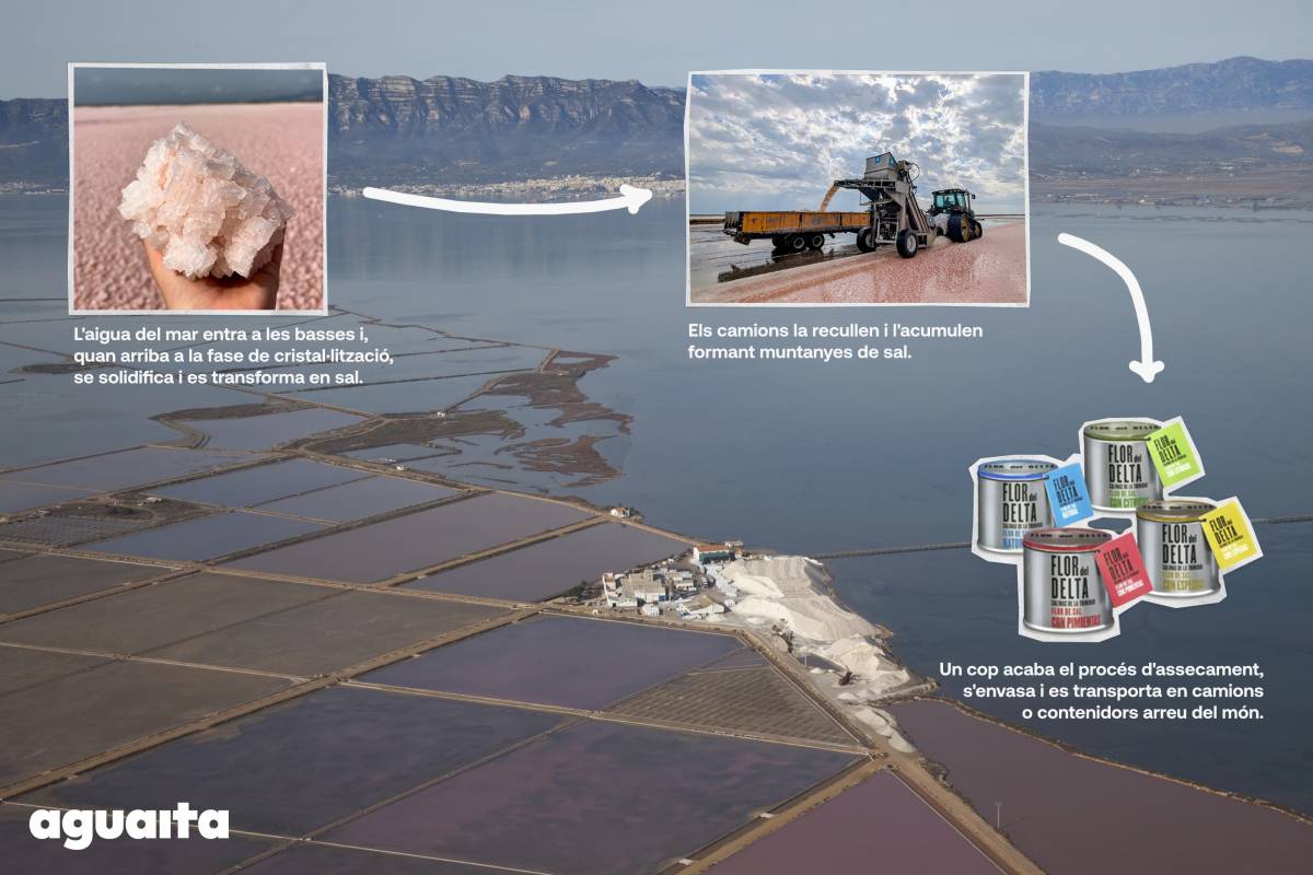 Infografia del procés d`extracció de la sal