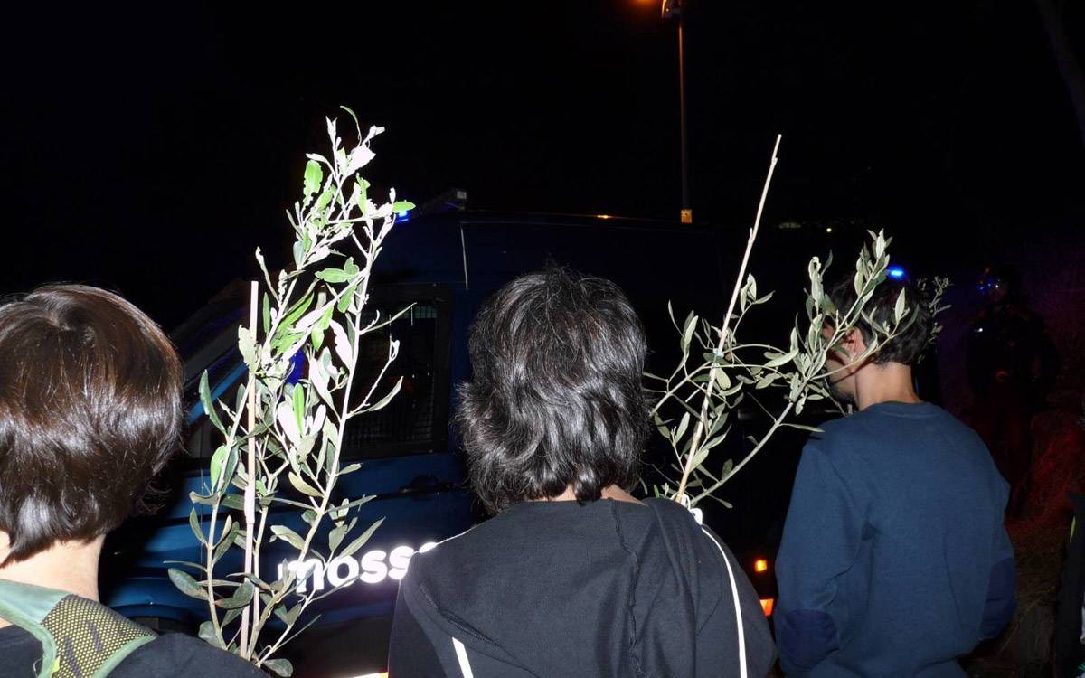 Activistes amb oliveres a les mans que han acabat essent plantades - Cedida Activistes amb oliveres a les mans que han acabat essent plantades