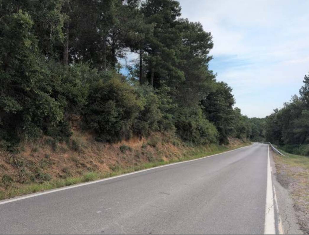 Imatge actual de la carretera  - 
