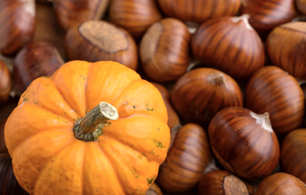 De les ombres celtes al record dels difunts: l’origen pagà de Tots Sants i la Castanyada