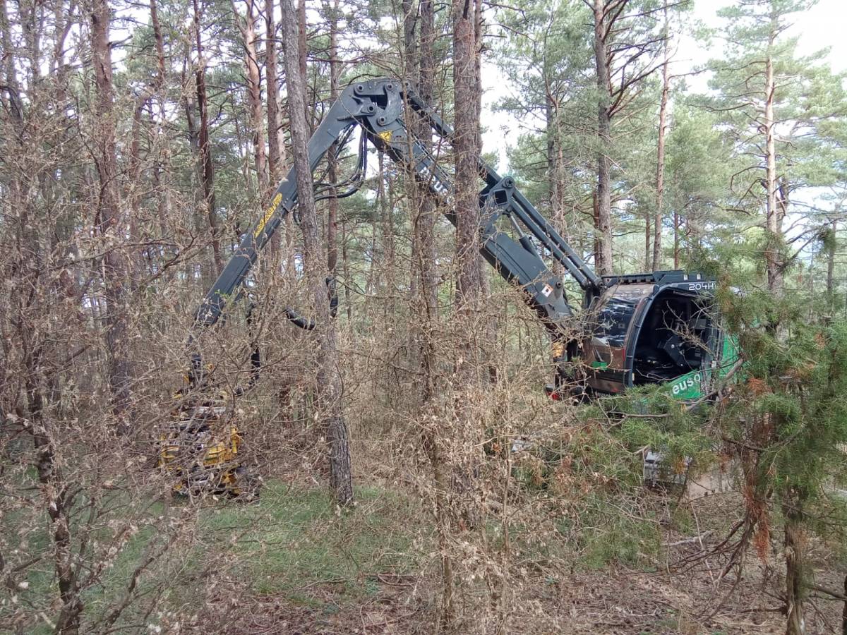 Jornada Forestal al CTFC  - 