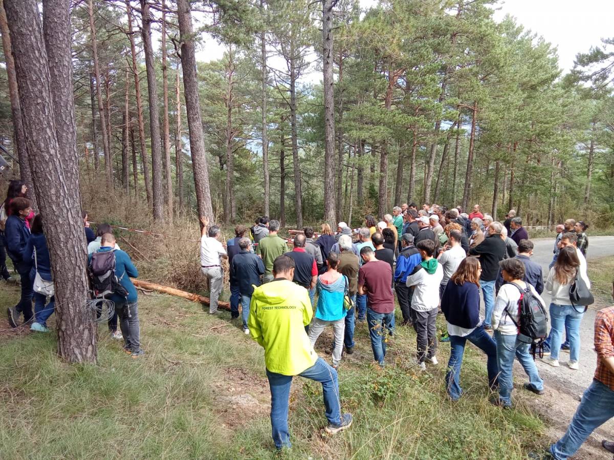 Jornada Forestal al CTFC  - 