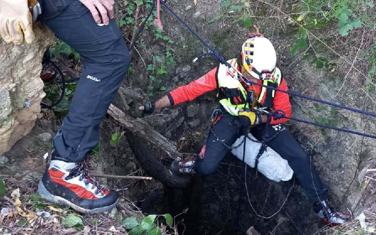 Rescaten un gos que havia caigut en un pou al Pont d'Armetera