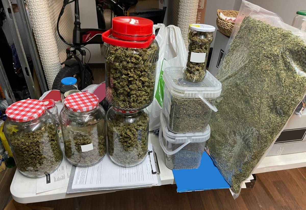 Intervenen marihuana, haixix i llavors en un establiment de cultiu de cànnabis de Berga