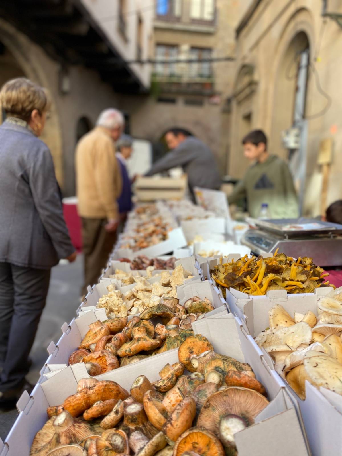 Parades de bolets - 