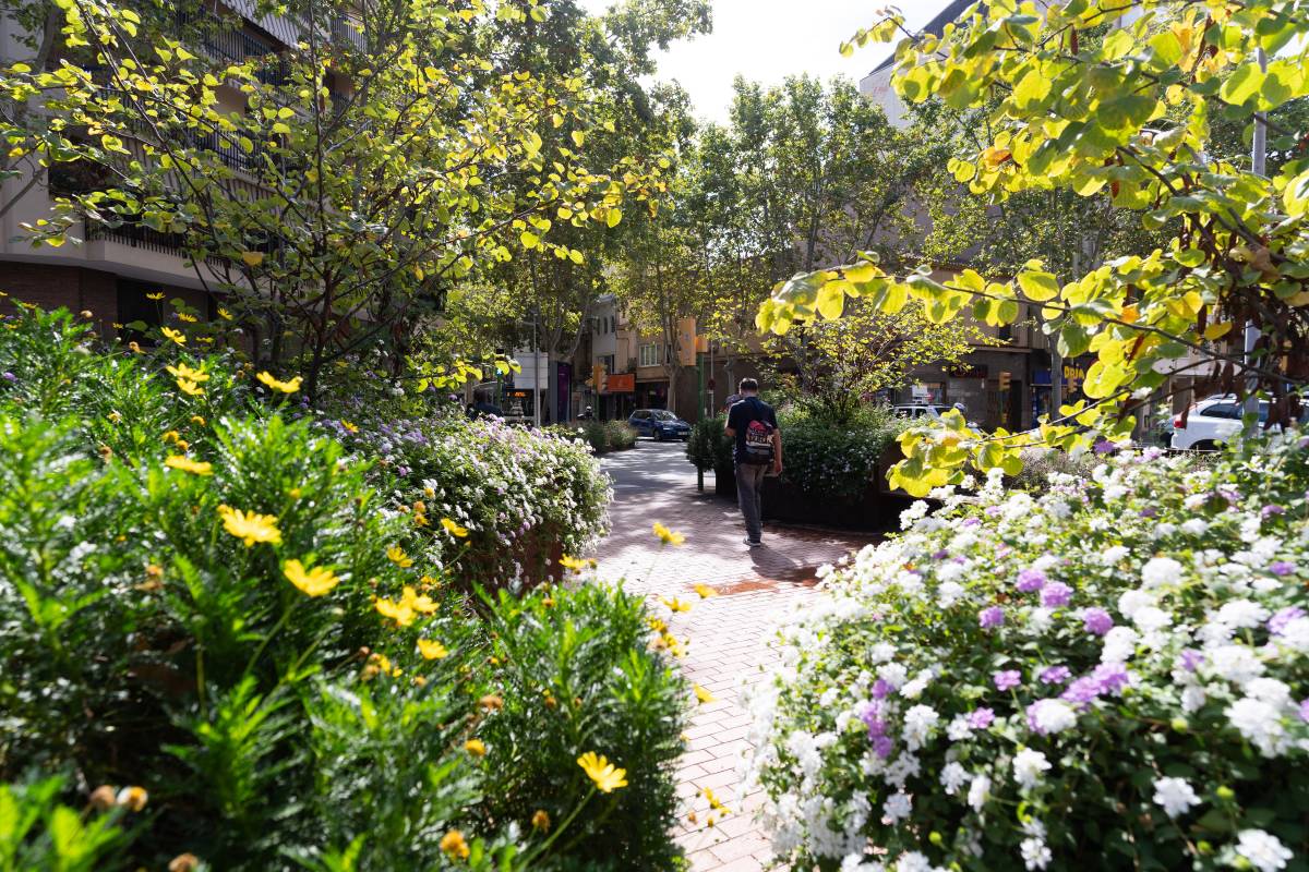 “Les jardineres treuen visibilitat als conductors”