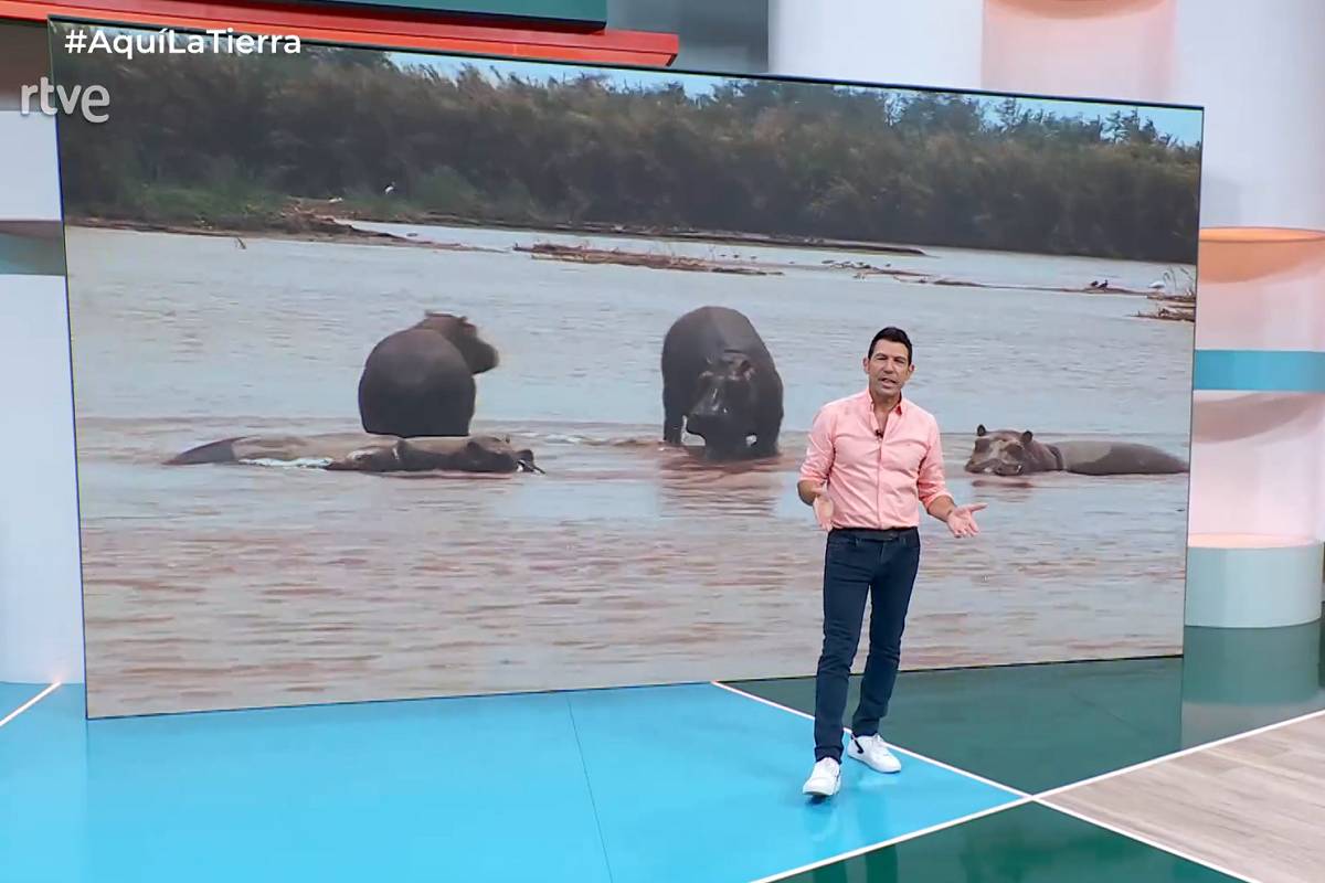 L'Aquí la Terra del 7 d'octubre de 2025 - RTVE
