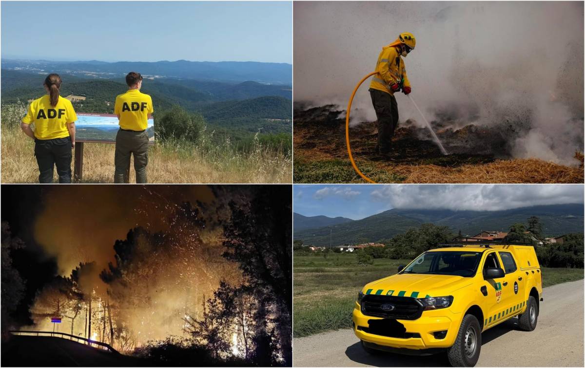 El bosc sense relleu: les ADF combaten el risc d'incendi i l’abandonament forestal