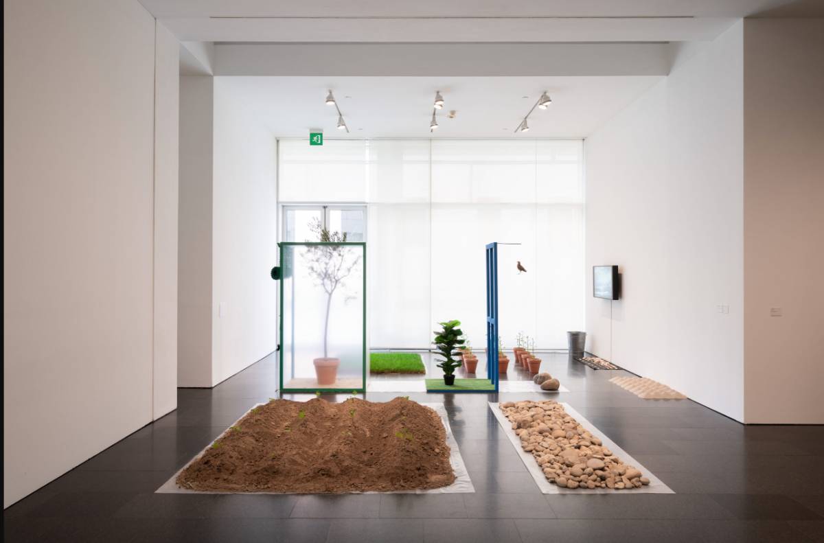 `Natura morta` - MACBA `Natura morta`