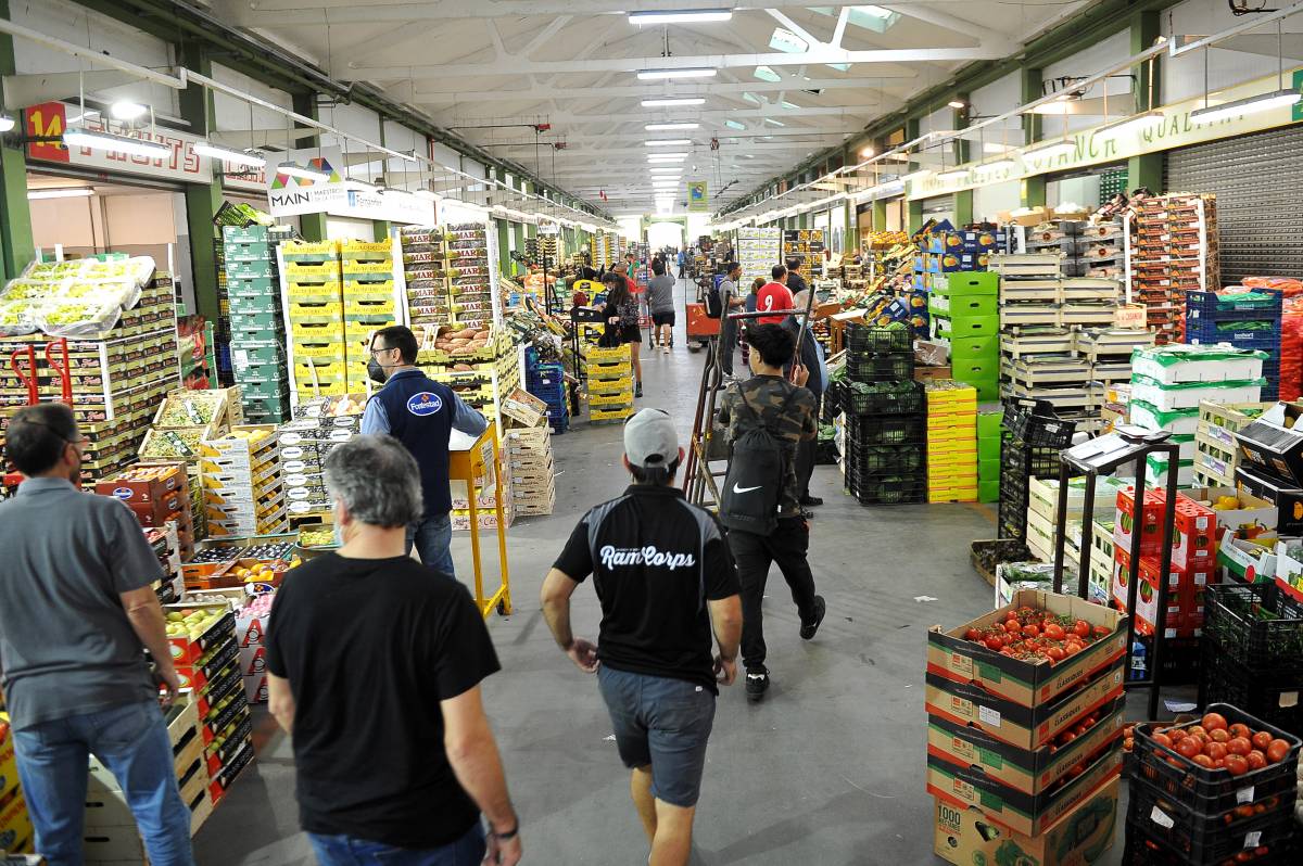 Mercat comarcal Mercavallès - ALBERTO TALLÓN