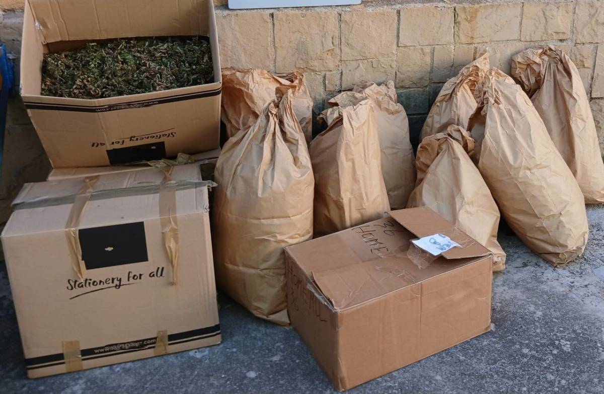 Els Mossos detenen una dona i un home que tenien 86 quilos de marihuana en un domicili a Gironella