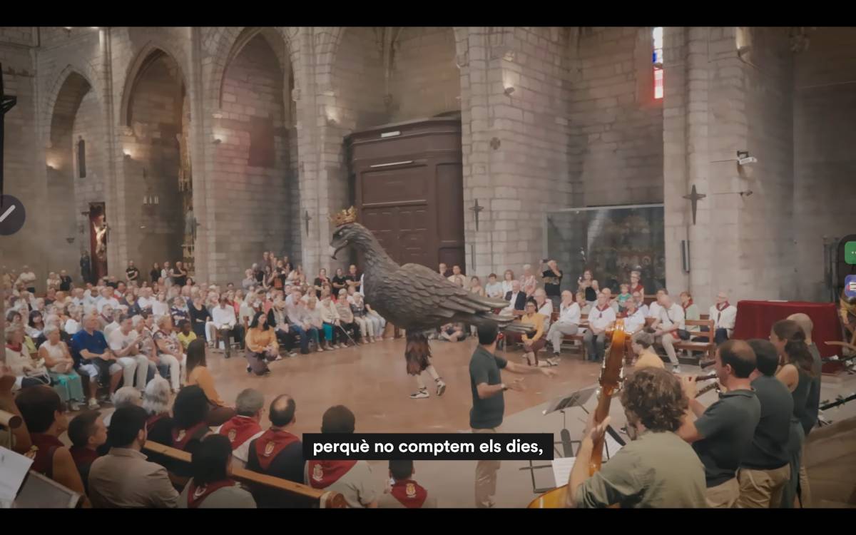 Festa Major de Cardona  - 