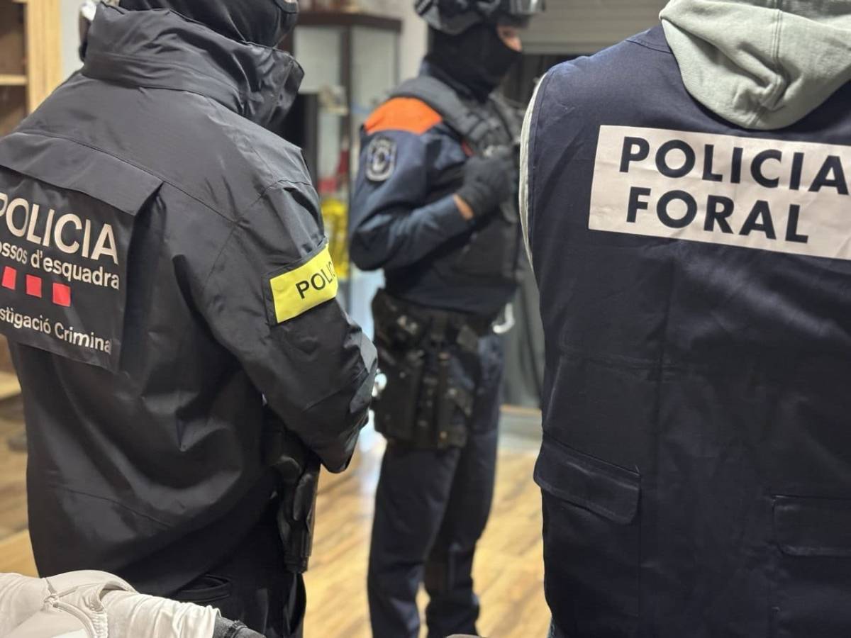Dispositiu a l'Anoia per desarticular un grup criminal especialitzat en robatoris violents