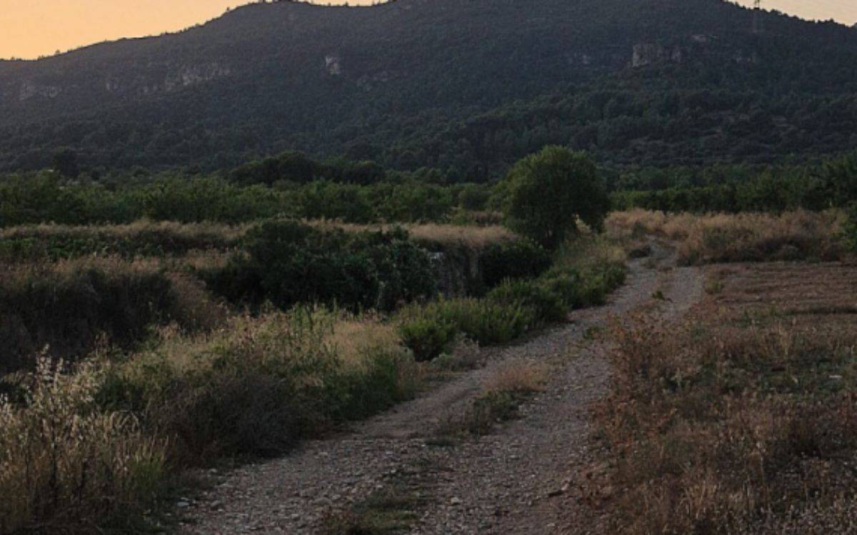 Neix la Pujada Nocturna al Replà: una nova experiència de trail running per la Fira del Vent del Pla de Santa Maria