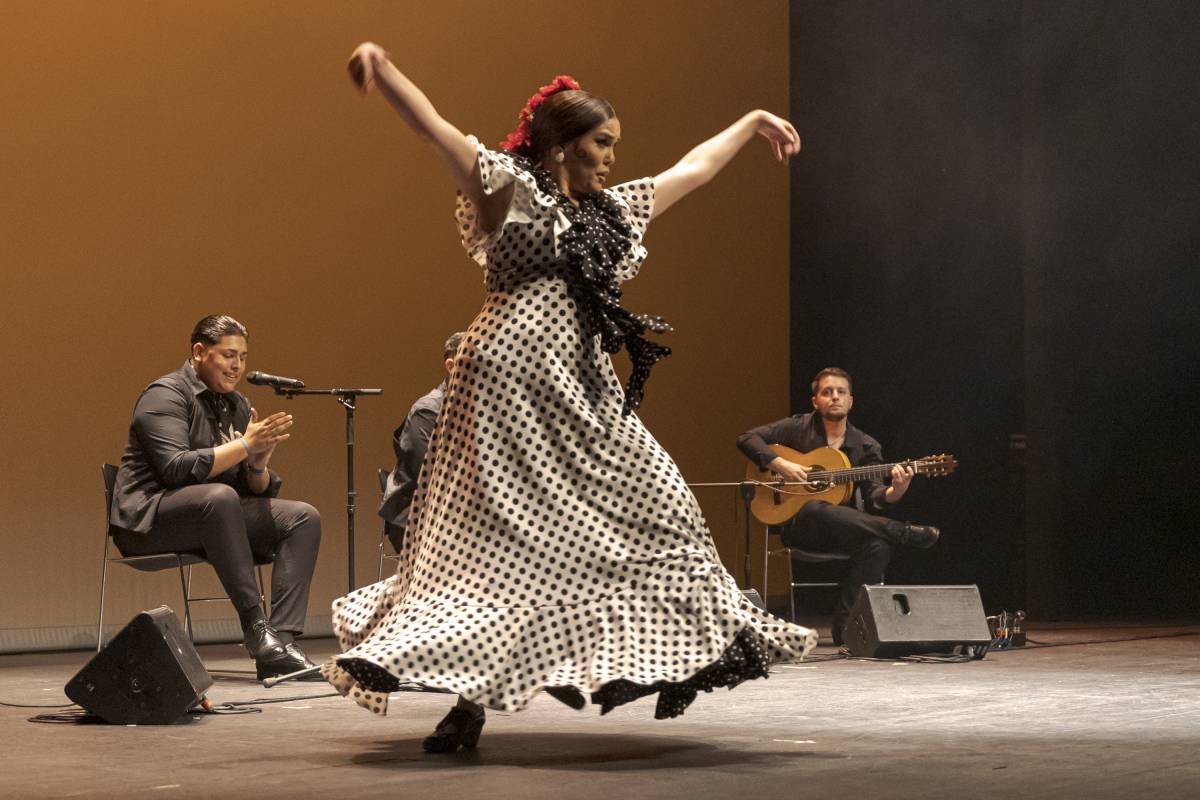 Moment de l'actuació de la bailaora Rocío Merino - Lluís Clotet