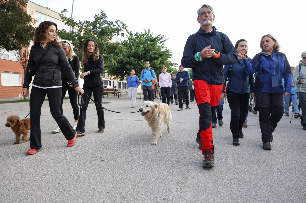 28a Marxa de la Solidaritat de Mans Unides