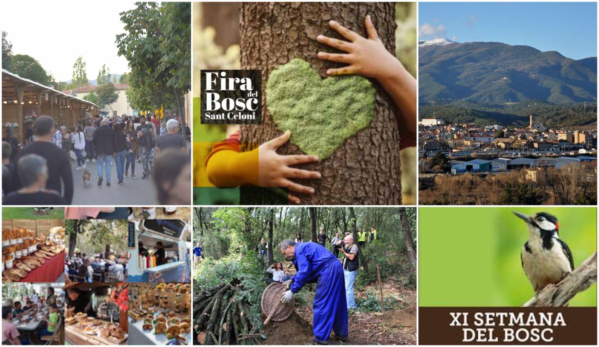 Setmana del Bosc de Sant Celoni 2025: totes les activitats