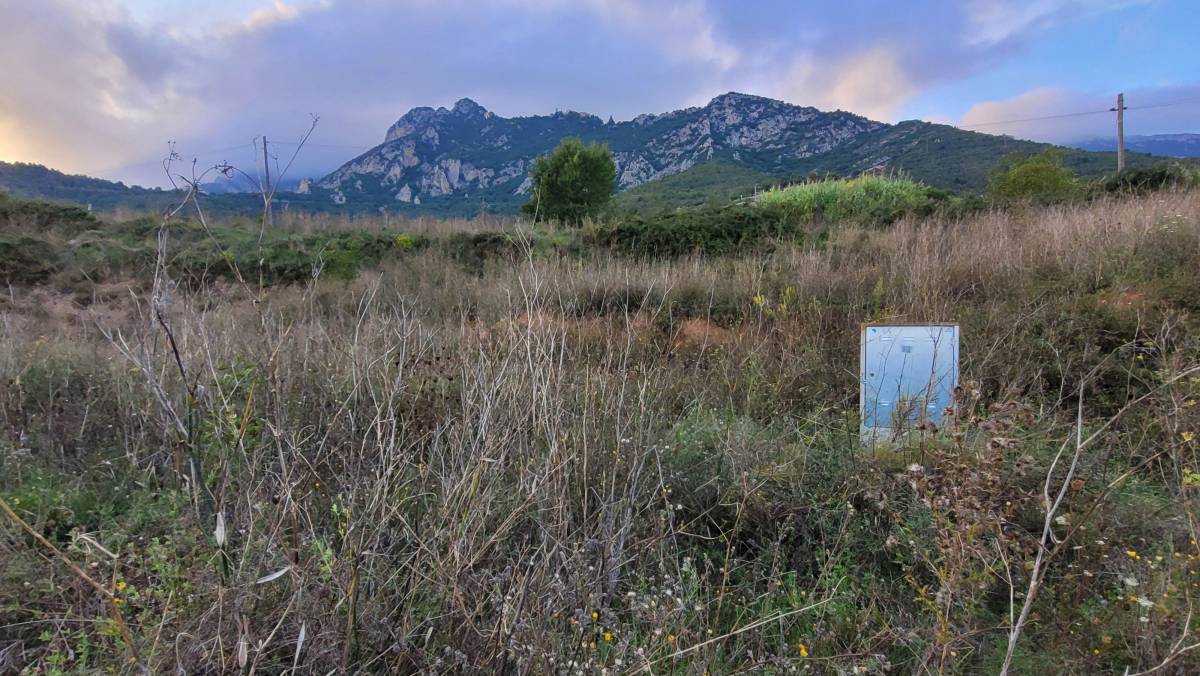 Les obres als Pedregals: cinc mesos adjudicades i cap màquina treballant
