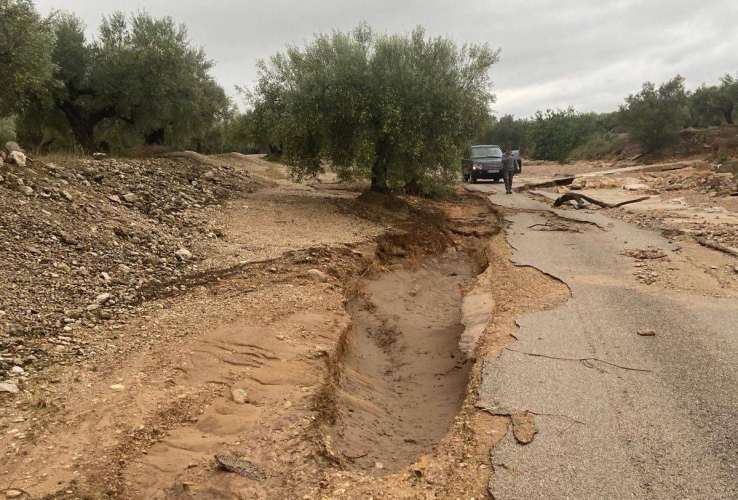 Ricard Guimerà: “Les dos calorades de l’estiu ens van portar la collita al límit, i ara això”