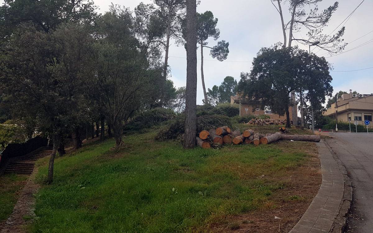 Pineda de Bages avança en la creació d'una franja de protecció contra incendis forestals