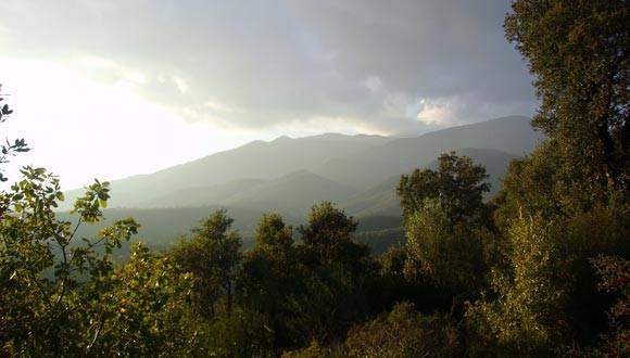 Alerten d'un augment de la contaminació per ozó al Montseny aquest estiu