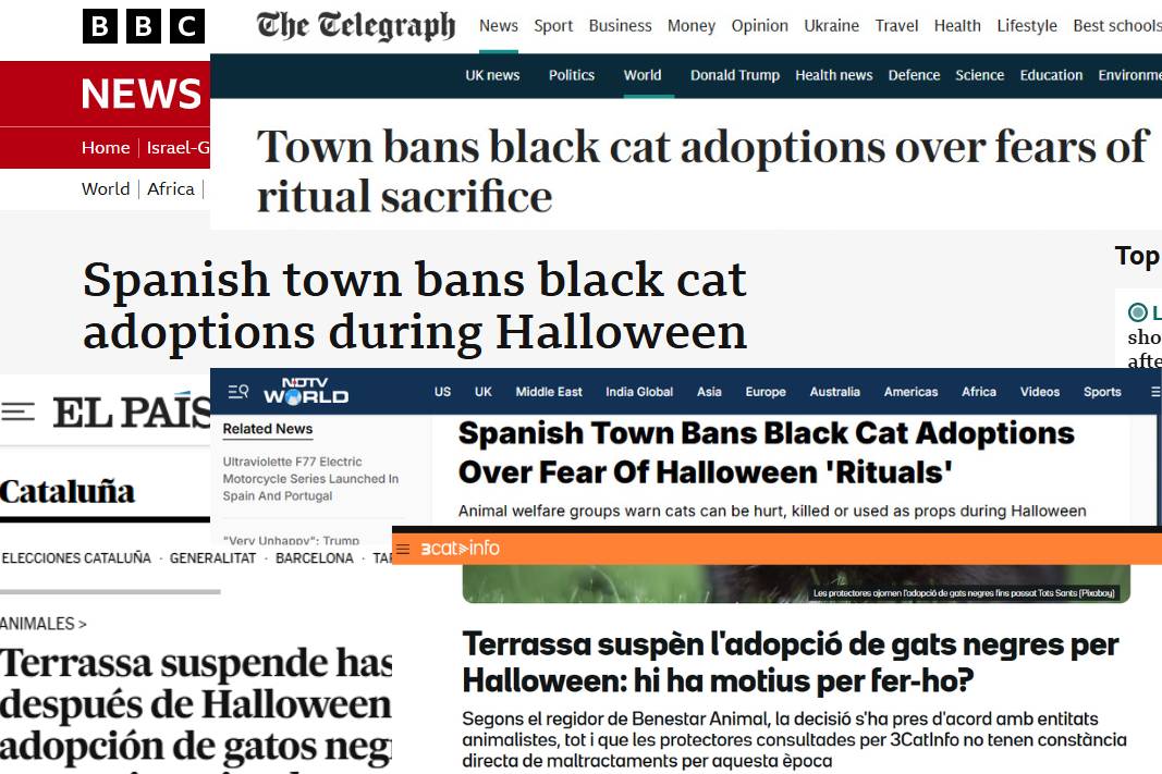 La iniciativa de Terrassa de prohibir l’adopció de gats negres fa la volta al món: BBC, The Telegraph i la Xina