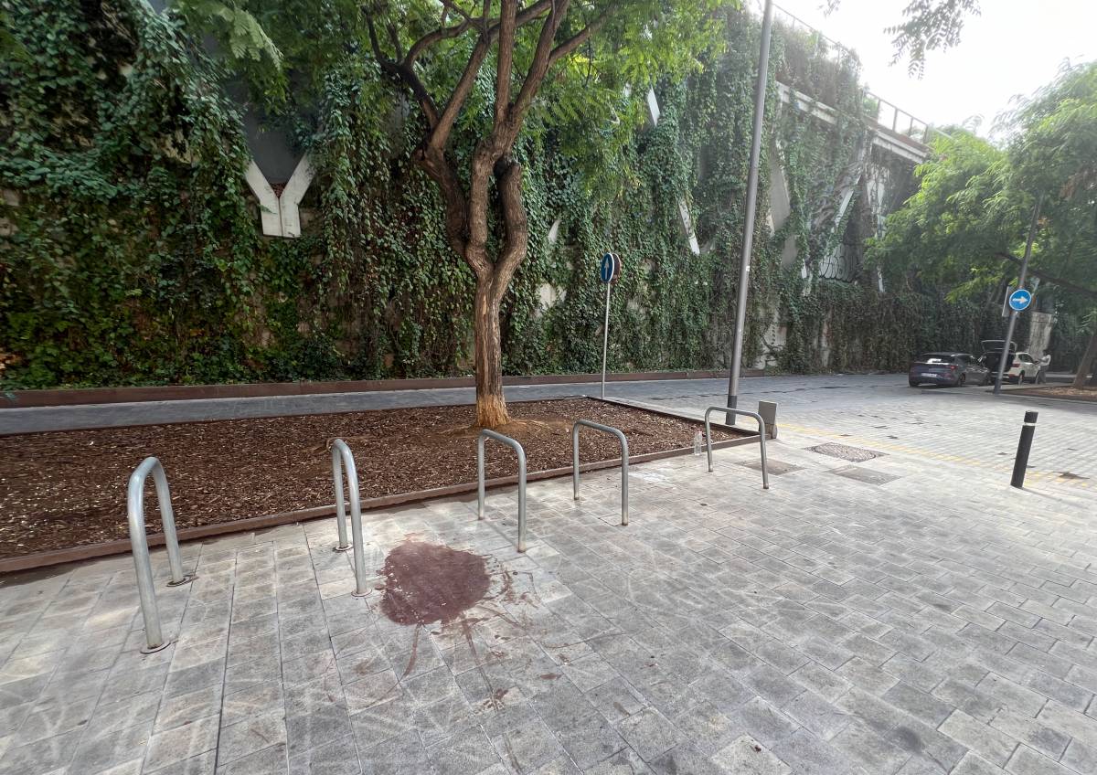 Cinc detinguts d'entre 16 i 20 anys per la mort violenta d'un menor a Sants