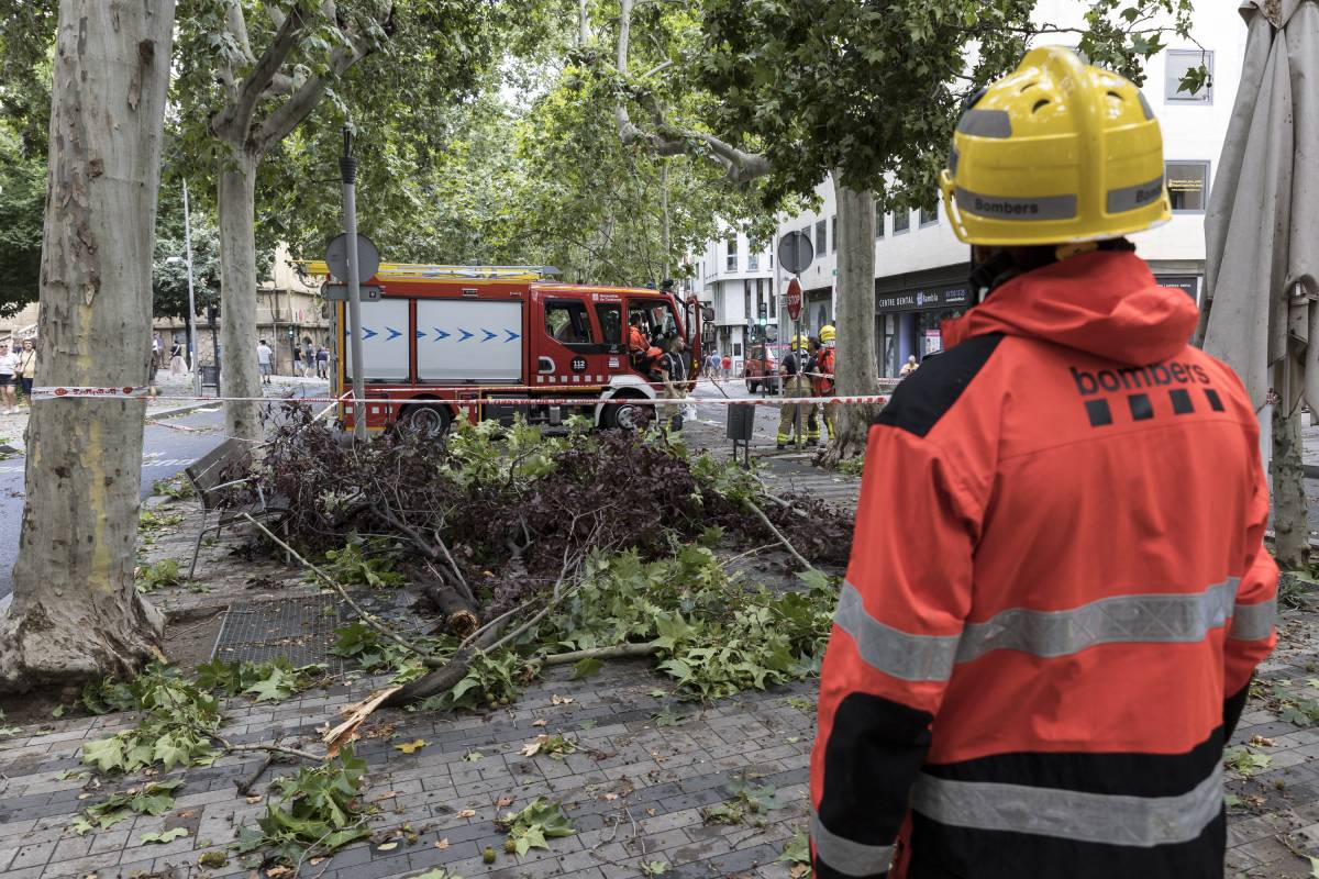 Terrassa, entre les ciutats que rebran ajudes per reparar els danys de les pluges 
