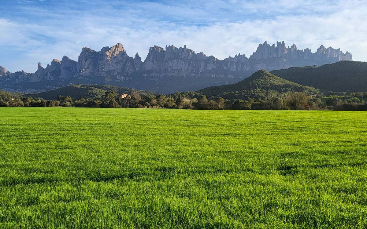 Castellbell i el Vilar acollirà aquest dijous el rodatge de l'anunci de La Marató de TV3