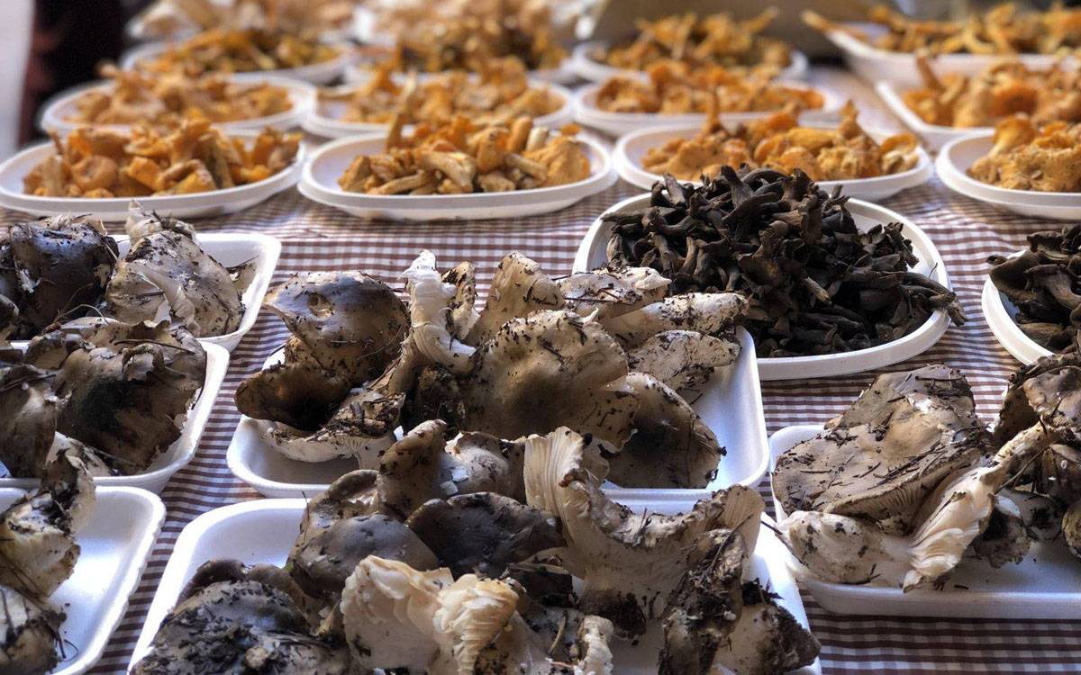 La Fira de la Llenega de Cardona celebrarà 32 anys amb més tallers i gastronomia