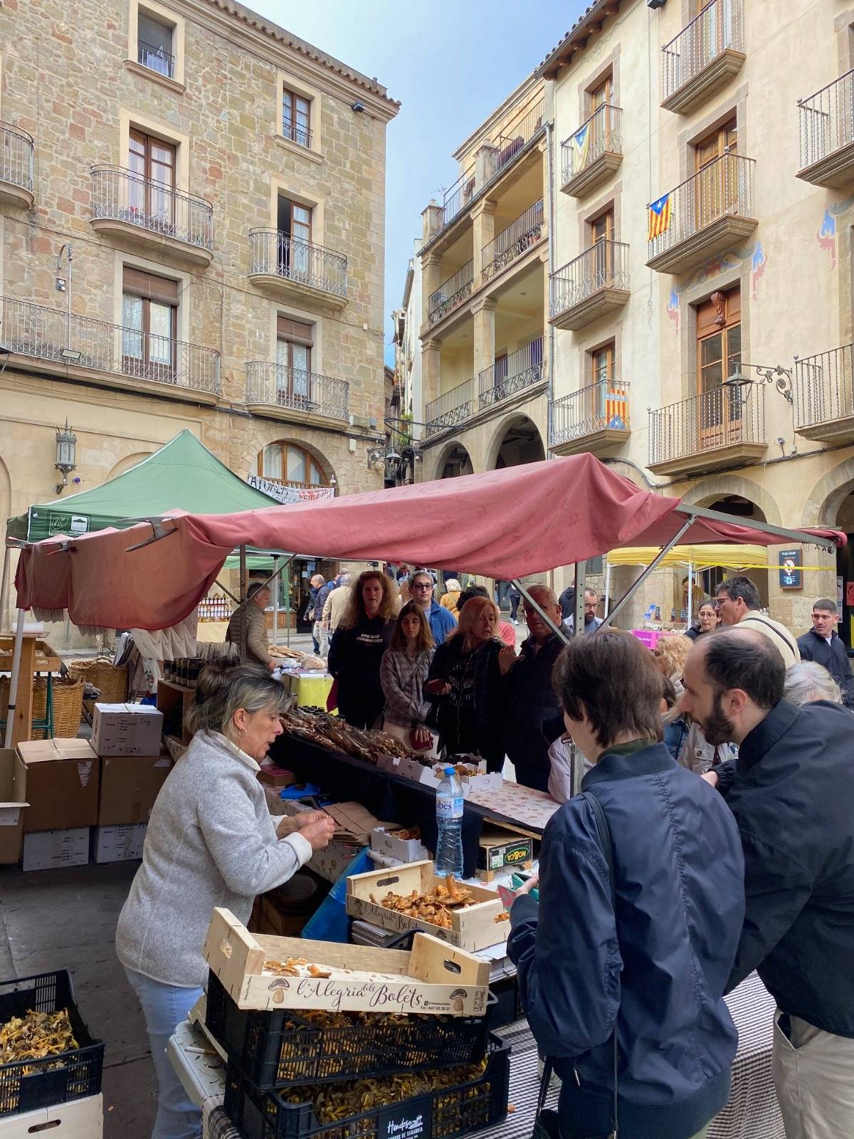 Fira del bolet - Fira del bolet