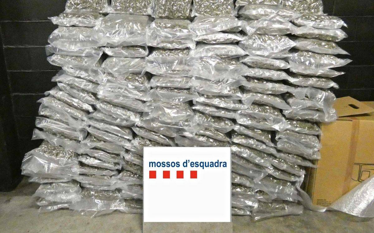 Cacen al Vendrell una furgoneta amb 120 quilos de marihuana procedent d'un pis de Salou