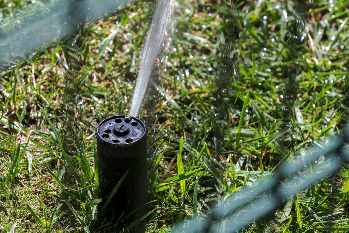 Terrassa aposta per la tecnologia per millorar el reg dels espais verds