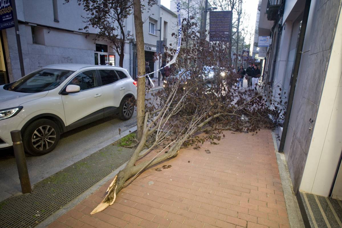 Alerta amb el vent: activat el Pla d'Emergència Municipal