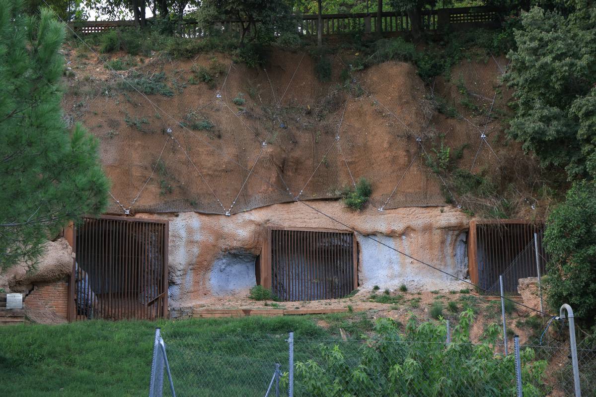 Les coves de Sant Oleguer reobren l`accés - Víctor Castillo Les coves de Sant Oleguer reobren l`accés
