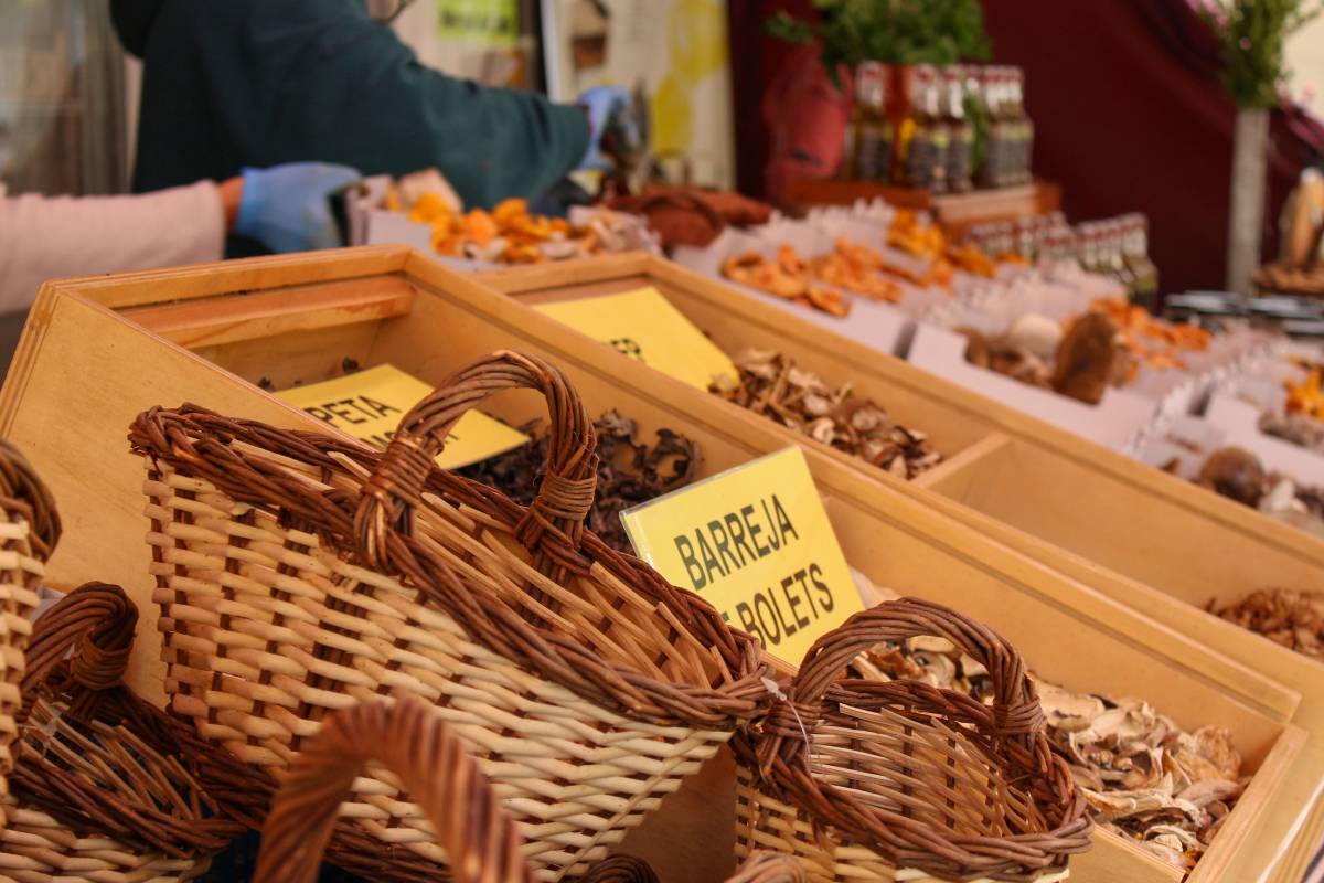 Cal Rosal dona la benvinguda al Mercat de Productes de la Terra