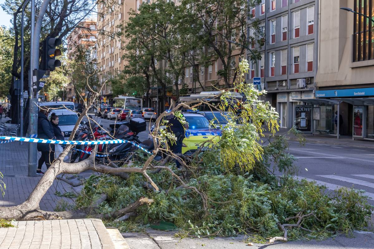 Ventada a Sabadell - Juanma Peláez Ventada a Sabadell