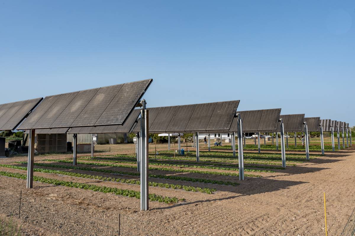 L’Eseiaat impulsa la primera planta agrivoltaica monitorada per al control integral del cultiu hortícola