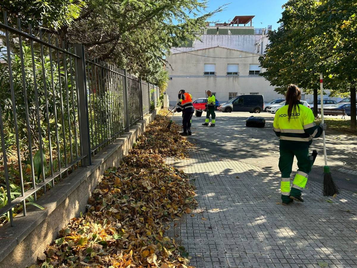 Eco-Equip contracta 42 operaris per reforçar la campanya de retirada de fulles