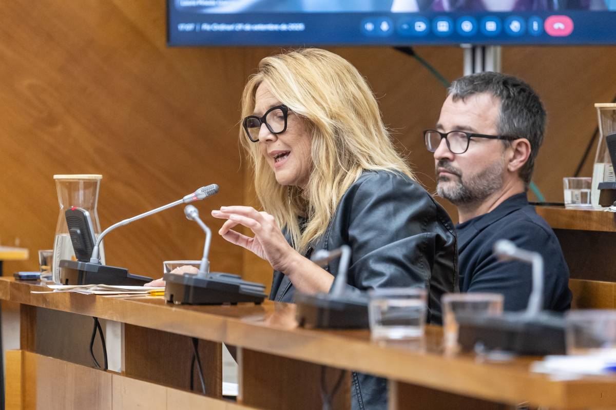 ERC proposa un pla d’il·luminació per Sabadell