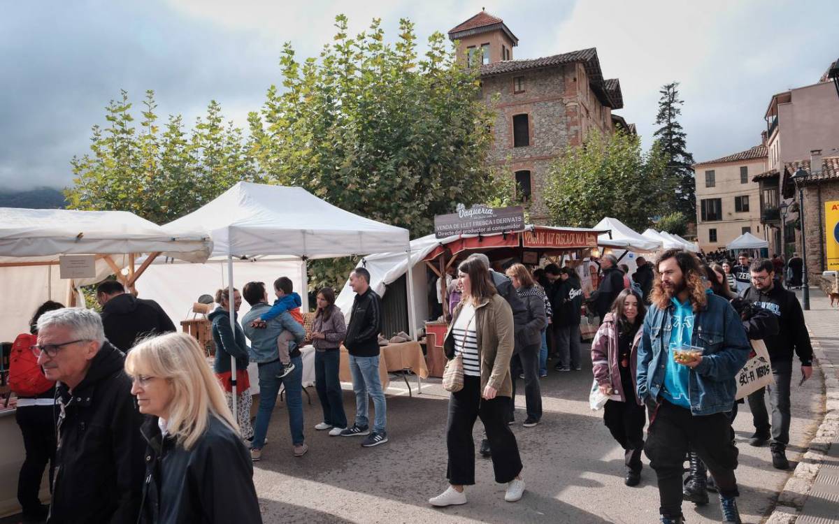 Exitosa 30a edició de la Fira de la Castanya de Viladrau. - Oriol Clavera Exitosa 30a edició de la Fira de la Castanya de Viladrau.
