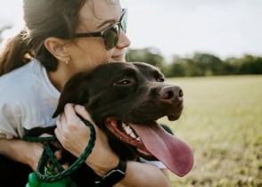 Un veterinari revela les cinc claus per saber si el teu gos t'estima