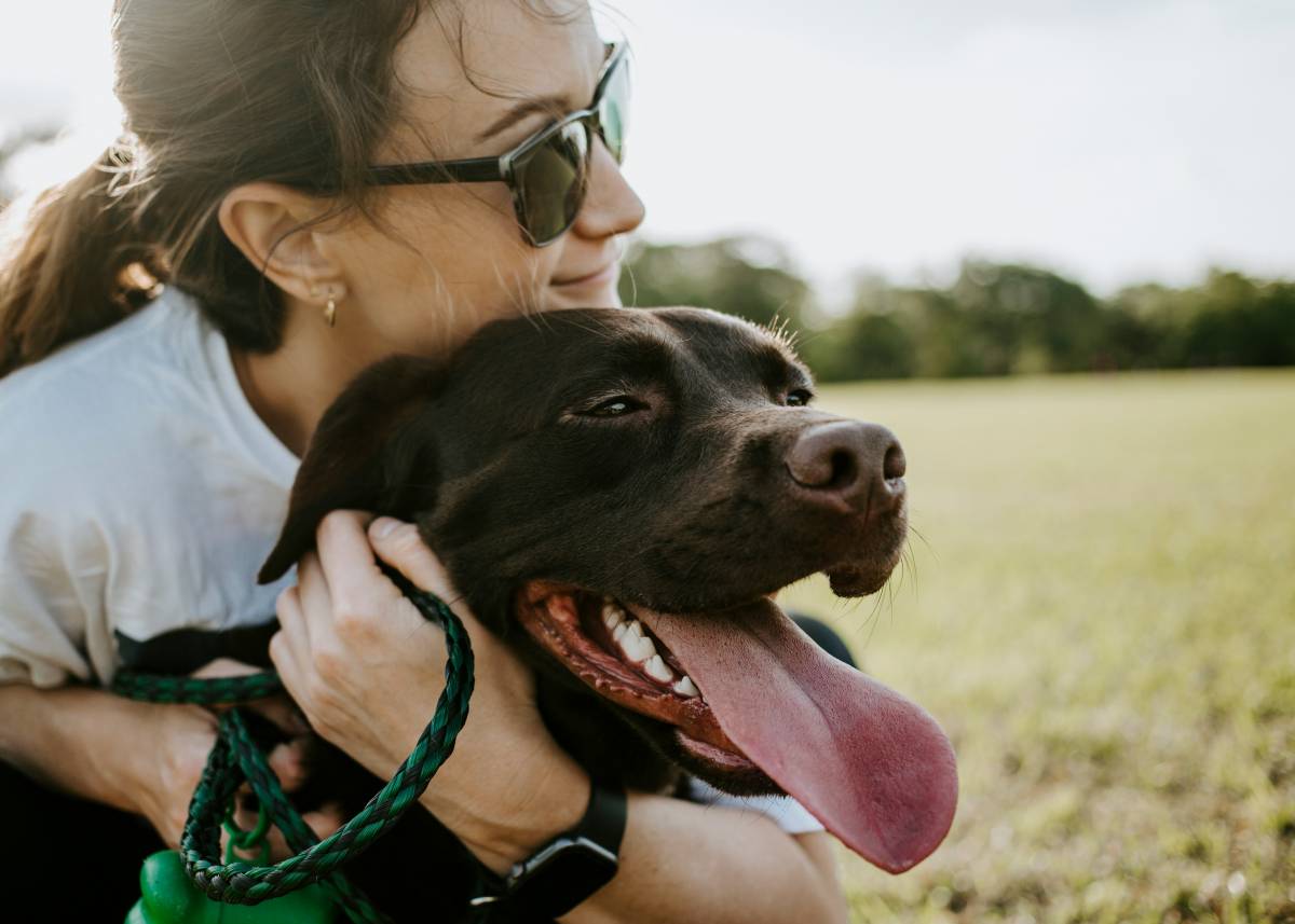 Un veterinari revela les cinc claus per saber si el teu gos t'estima
