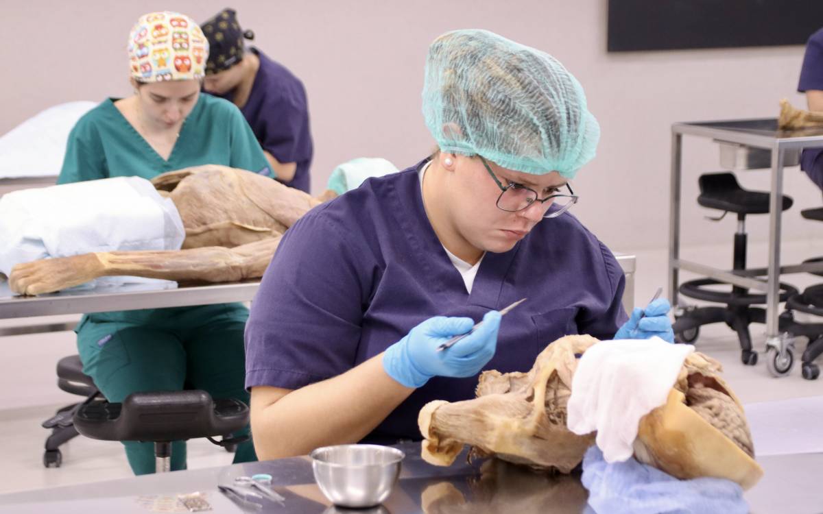 Estudiants de diferents especialitats fent pràctiques al Laboratori d`Anatomia de la UVic-UCC. - L.Busquets/ACN Estudiants de diferents especialitats fent pràctiques al Laboratori d`Anatomia de la UVic-UCC.