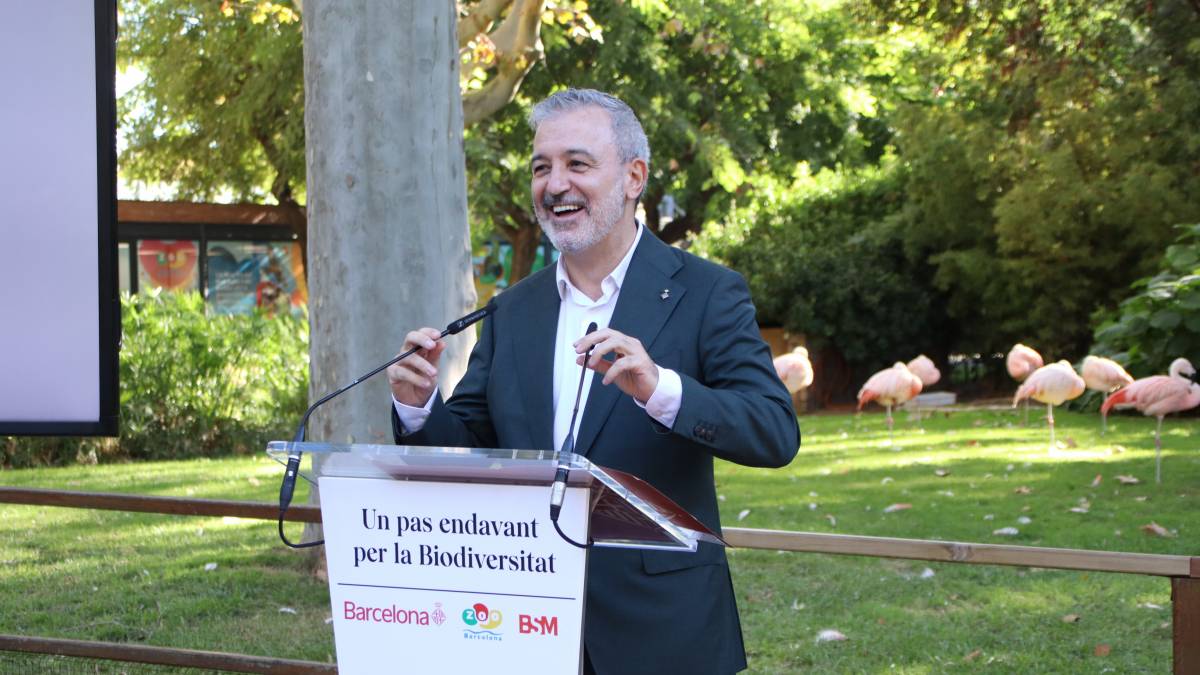 El Zoo de Barcelona revela una nova «joia de la corona» que construirà abans del 2030