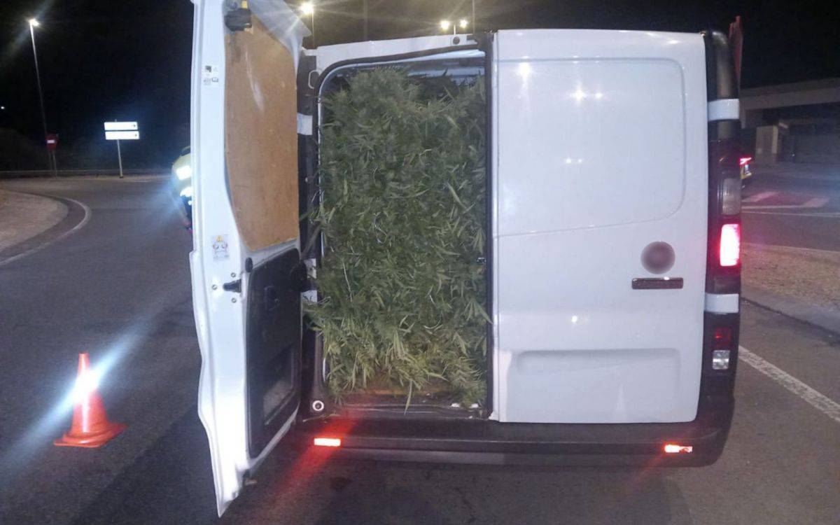 Intercepten de matinada dues furgonetes plenes de marihuana a Tarragona