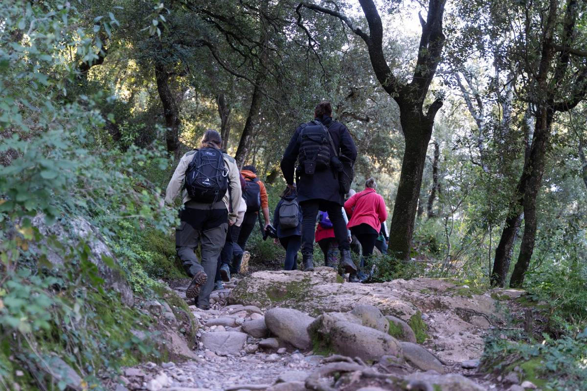 Excursionistes pujant a la Mola - David Chao Excursionistes pujant a la Mola